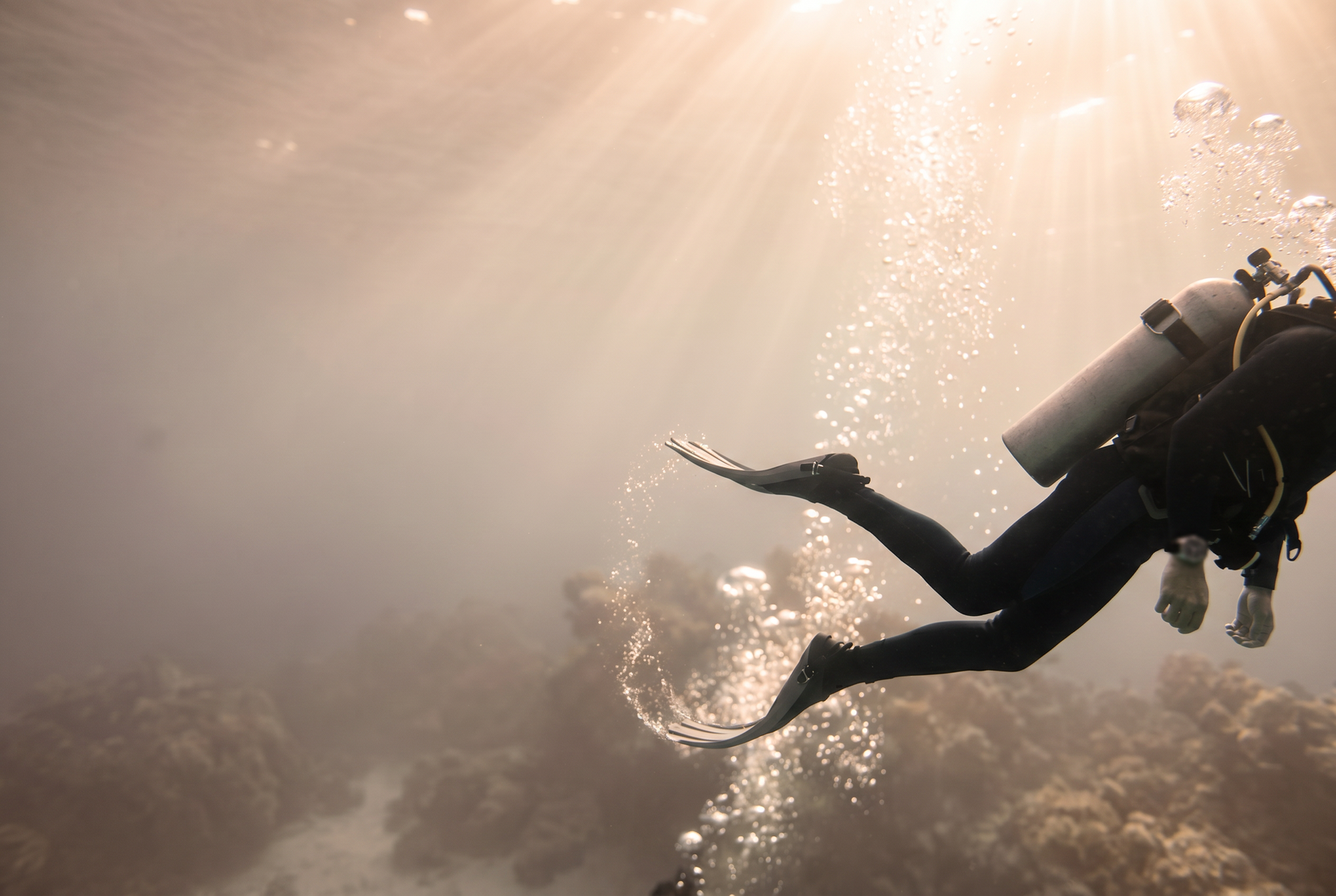 Orologi subacquei: quando il tempo scende sott'acqua